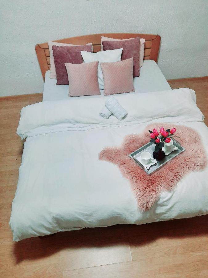 Apartamento Kuca Na Dan Šid Exterior foto